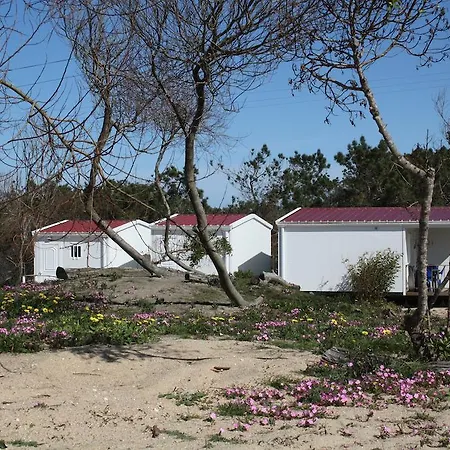 Campsite Sao Pedro De Moel By Campigir Sao Pedro De Moel