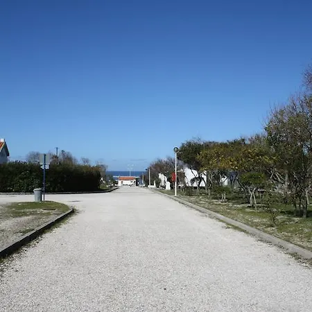 营地 By Campigir *