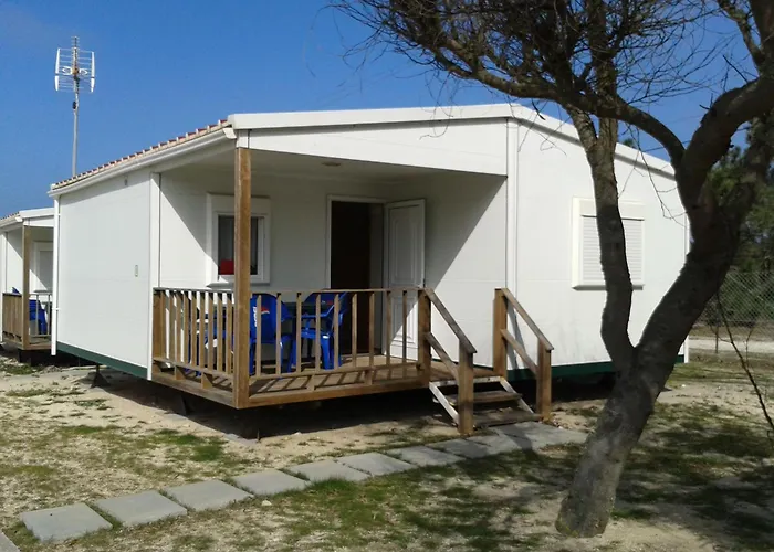 By Campigir אתר קמפינג *