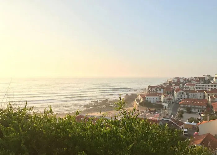 אתר קמפינג By Campigir *